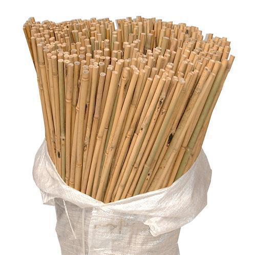 BAMBOO CANES 3FT (SI-BCANE101)