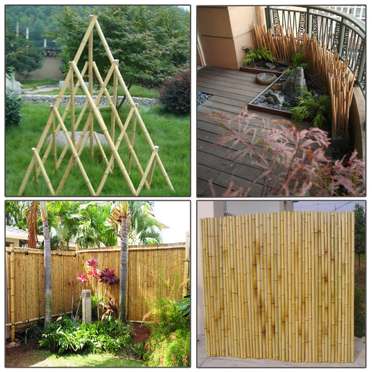 BAMBOO CANES 4FT (SI-BCANE102)