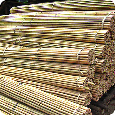 5FT BAMBOO CANES (SI-BCANE103-10) - Pack of 10