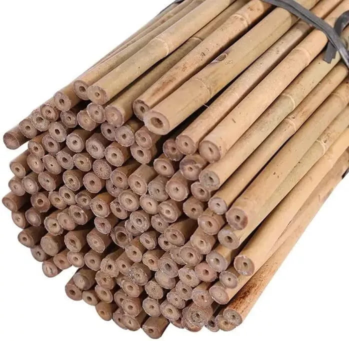 4ft (Pack of 10) Bamboo Canes  Plant Supports for Outdoor Plants