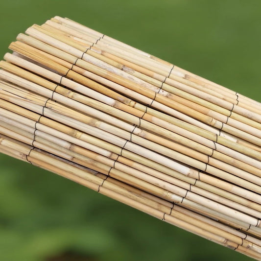 High Quality Peeled Reed Fence - 2m x3m (SI-HH1084)