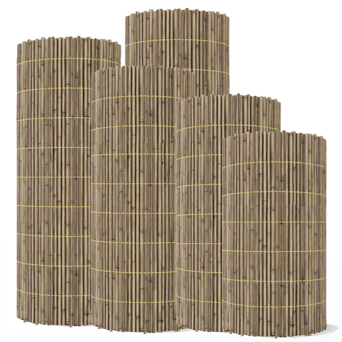 High Quality Peeled Reed Fence-1.5m x3m (SI-HH1082)